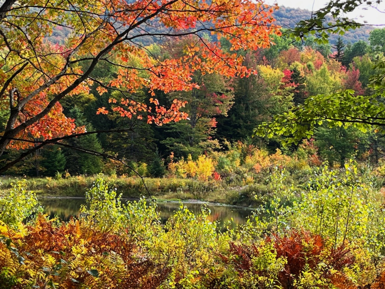 High Ponds Farm Nature Preserve